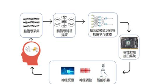 脑机接口商业应用可期微美全息量子计算+脑机交互驱动技术革新(图2)
