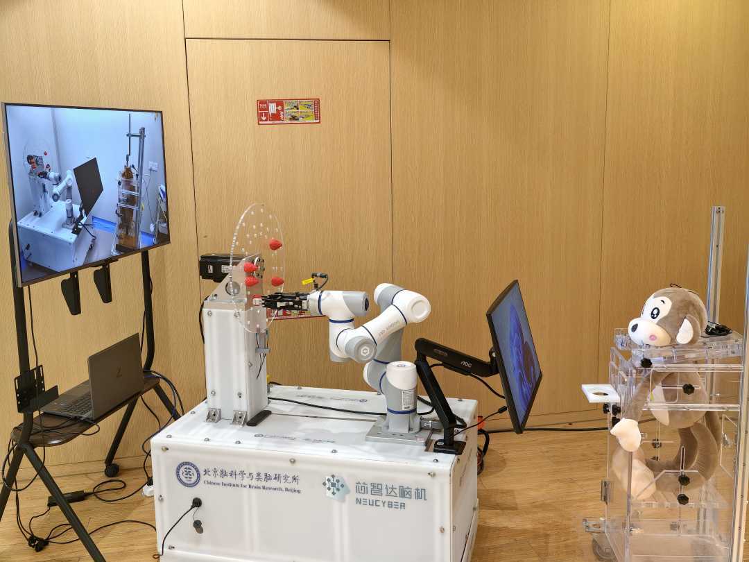 “意念控物”成真脑机接口创新将科幻照进现实｜活力中国调研行(图2)