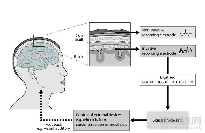 脑机接口技术解析(图1)