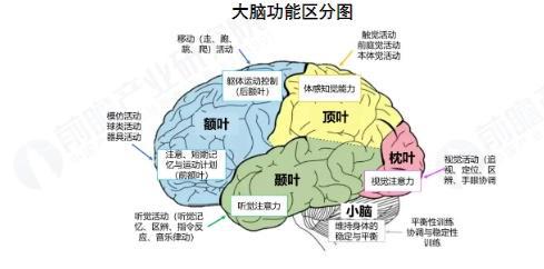 重磅消息！我国脑机接口技术实现全链条自主可控性能达国际顶尖水平【附脑机接口行业发展趋势】(图2)