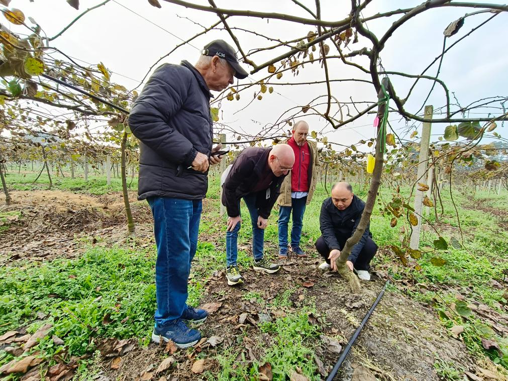 中外联合实验室奏响“一带一路”科技合作交响曲(图1)