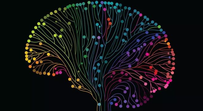 脑机接口计划：全球脑机接口技术的计划对比分析(图5)