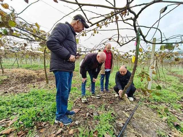 从脑科学到猕猴桃——中外联合实验室奏响“一带一路”科技合作交响曲(图1)