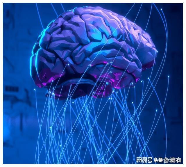 脑接口技术的原理是什么？对虚拟现实技术的发展有何好处？(图5)