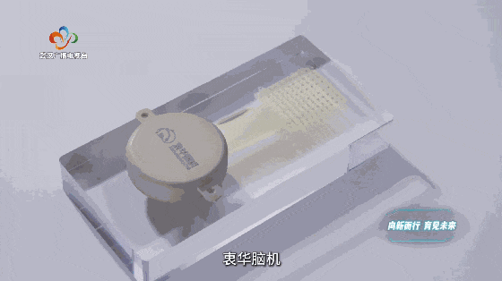 向新而行·育见未来丨武汉：打造全球脑机接口技术创新与产业化标杆城市(图4)