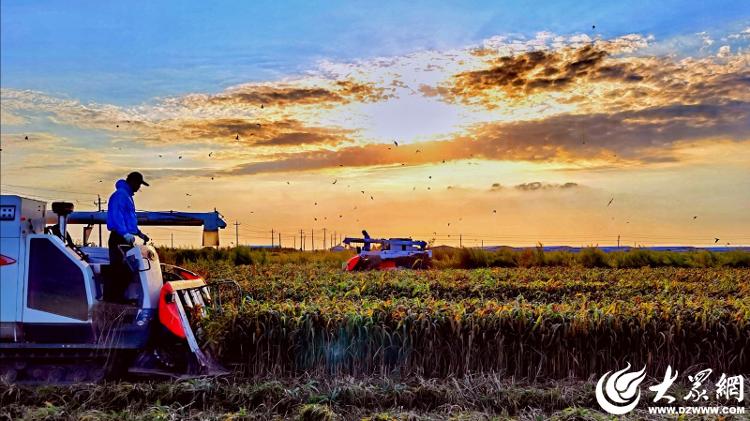 三脑联动+生态闭环：青阜农业的智慧农业“双引擎”(图4)