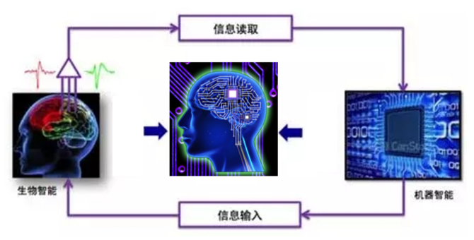 脑机接口：好家伙！神奇的意念之术要实现了吗？(图1)