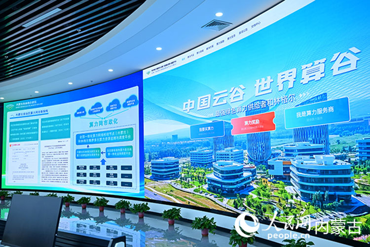 行进中国｜绿色算力“优等生”(图2)