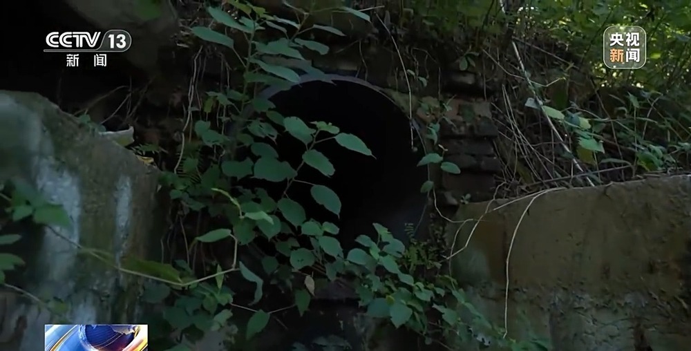 活力中国调研行丨 守好长江上游每一滴水 重庆构建治水“神经网络”(图7)