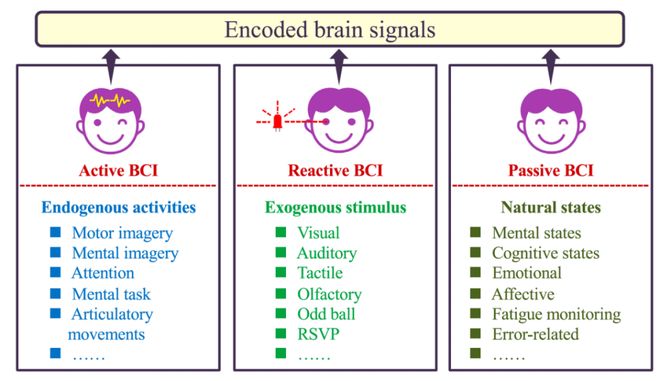 「脑机接口」系统综述发布：全景解析理论、技术、挑战、趋势(图8)