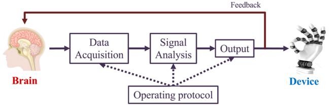 「脑机接口」系统综述发布：全景解析理论、技术、挑战、趋势(图6)