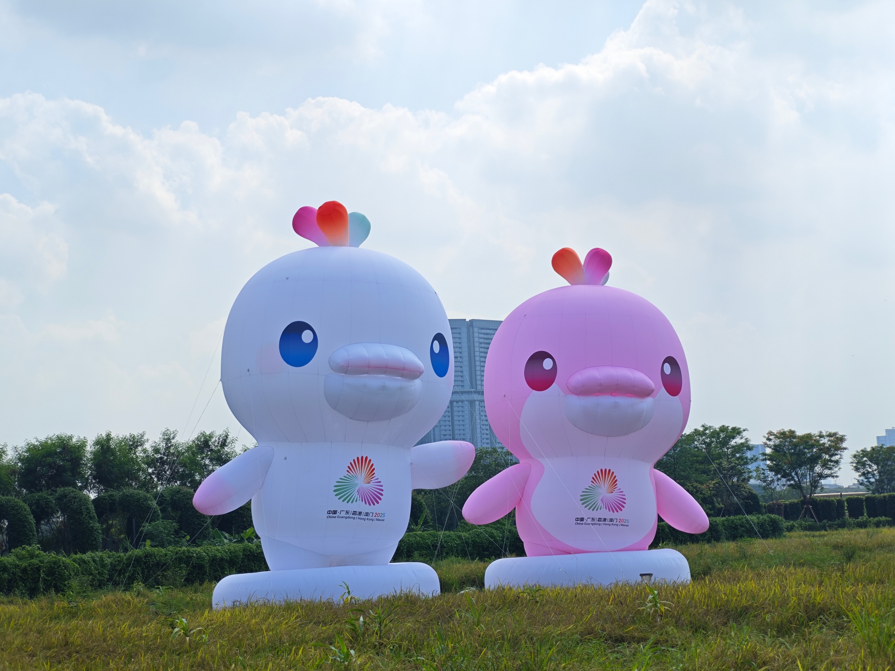 十五运会迎倒计时50天 中国联通打造“体育+科技”融合盛宴(图7)