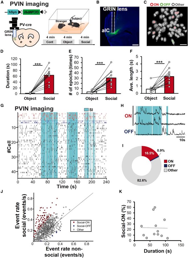 神经环路应用（15）：微型内镜钙成像技术及案例解析(图1)
