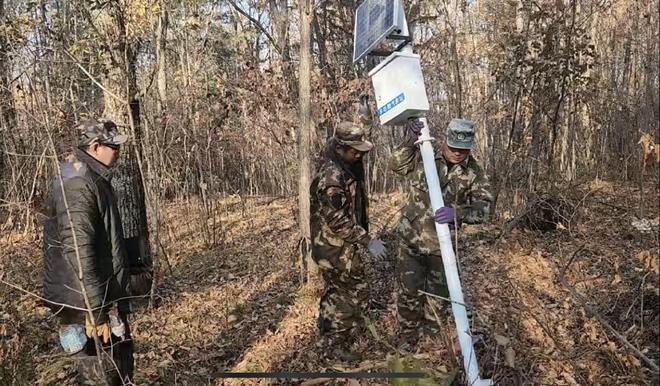 绥阳林区：搭建生态监测体系 让“生态慧眼”护林海(图2)