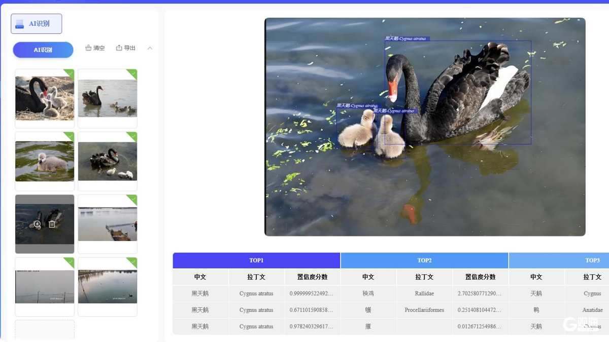 首次采用声纹技术“听声识鸟”！青岛试点投用全新鸟类智能监测系统(图2)