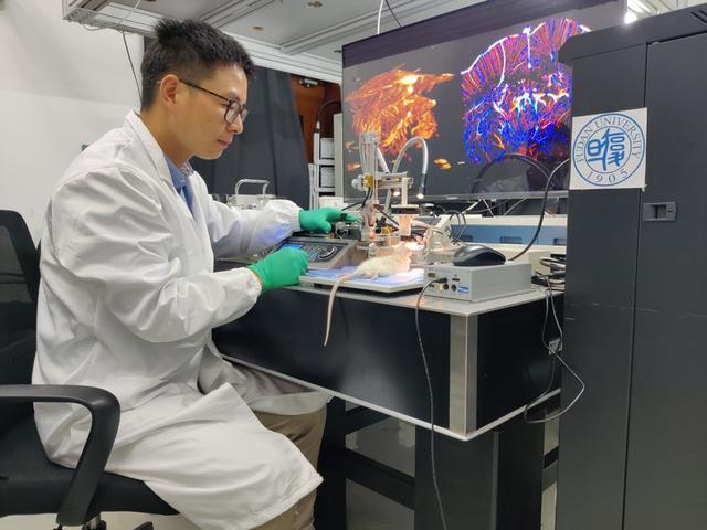 上海两家脑机接口企业发布好消息挑战马斯克公司技术和战略路线(图3)