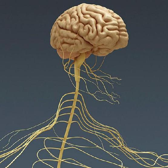 2026年值得期待的十大技术应用(图1)