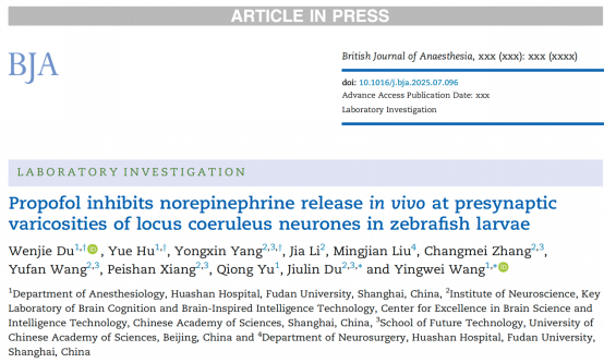 汉威科技：对无创柔性脑机接口材料的研发及用于复杂脑信息协同监测有所突破(图1)