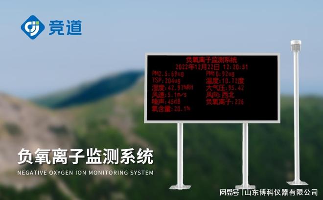 负氧离子实时监测：守护清新空气的科技之眼(图2)