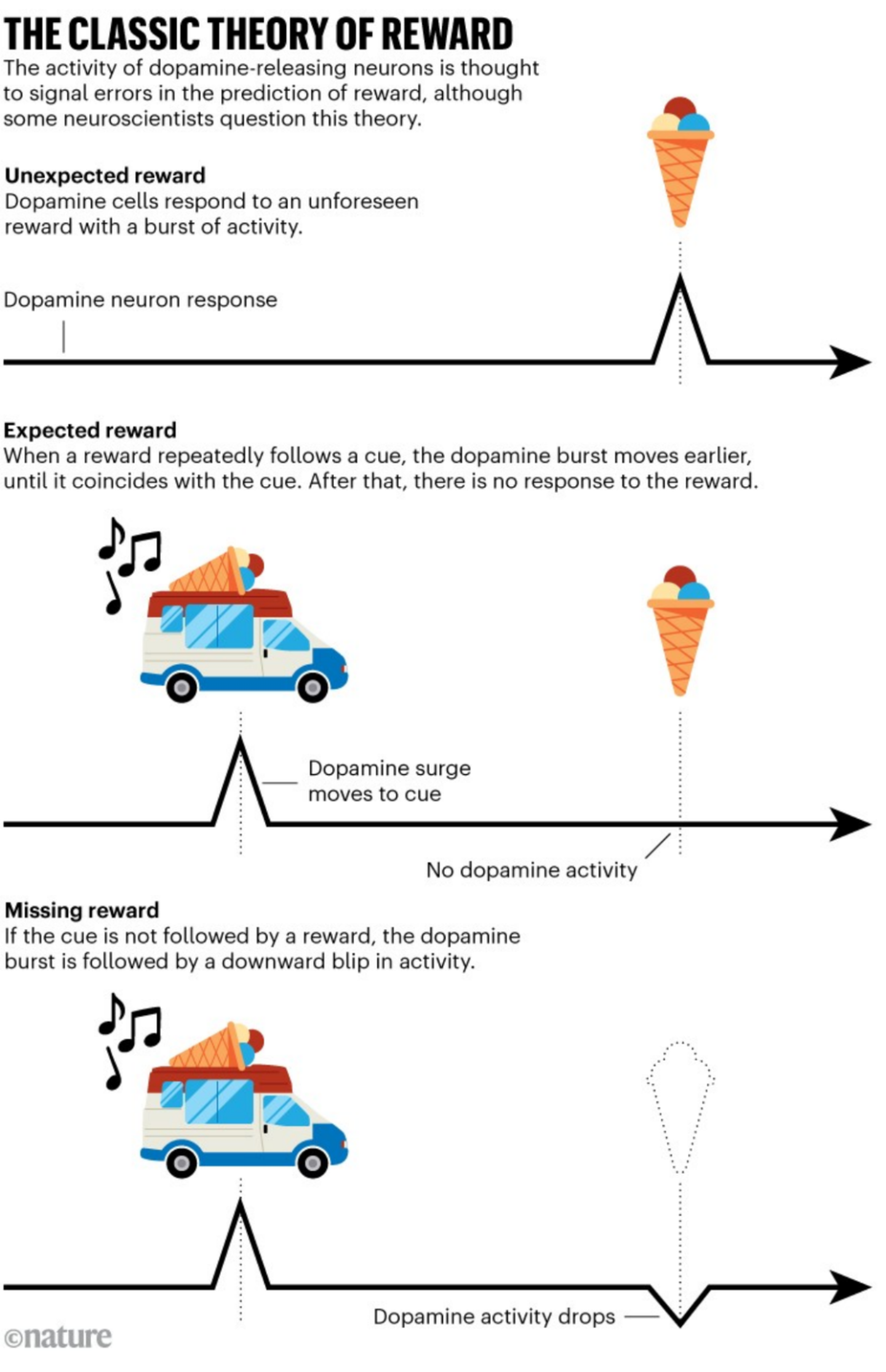 多巴胺经典理论遭遇挑战：一场即将引爆神经科学界的核心争论(图1)