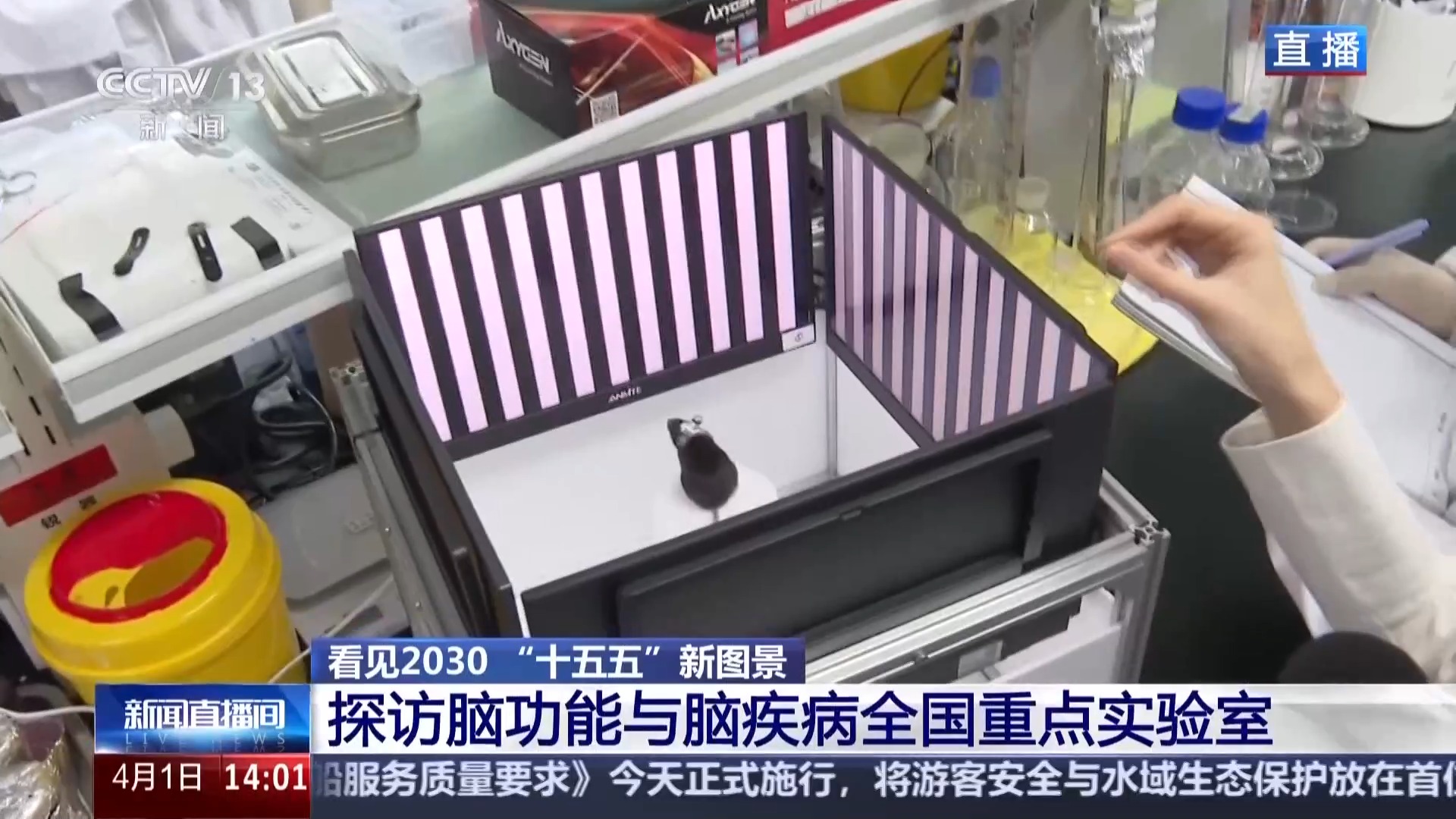 看见2030“十五五”新图景丨脑机接口加速落地 拓展多元应用新场景(图1)