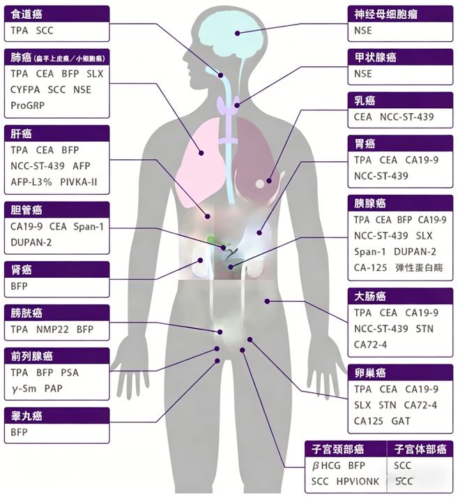 生物标志物筛选的相关研究与技术(图1)