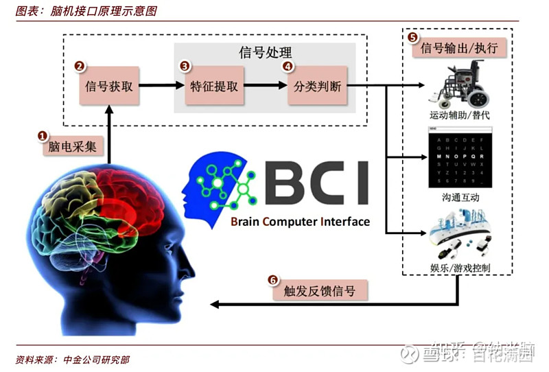 国泰海通证券王莉：热潮之后脑机接口产业将面临分化与调整(图1)
