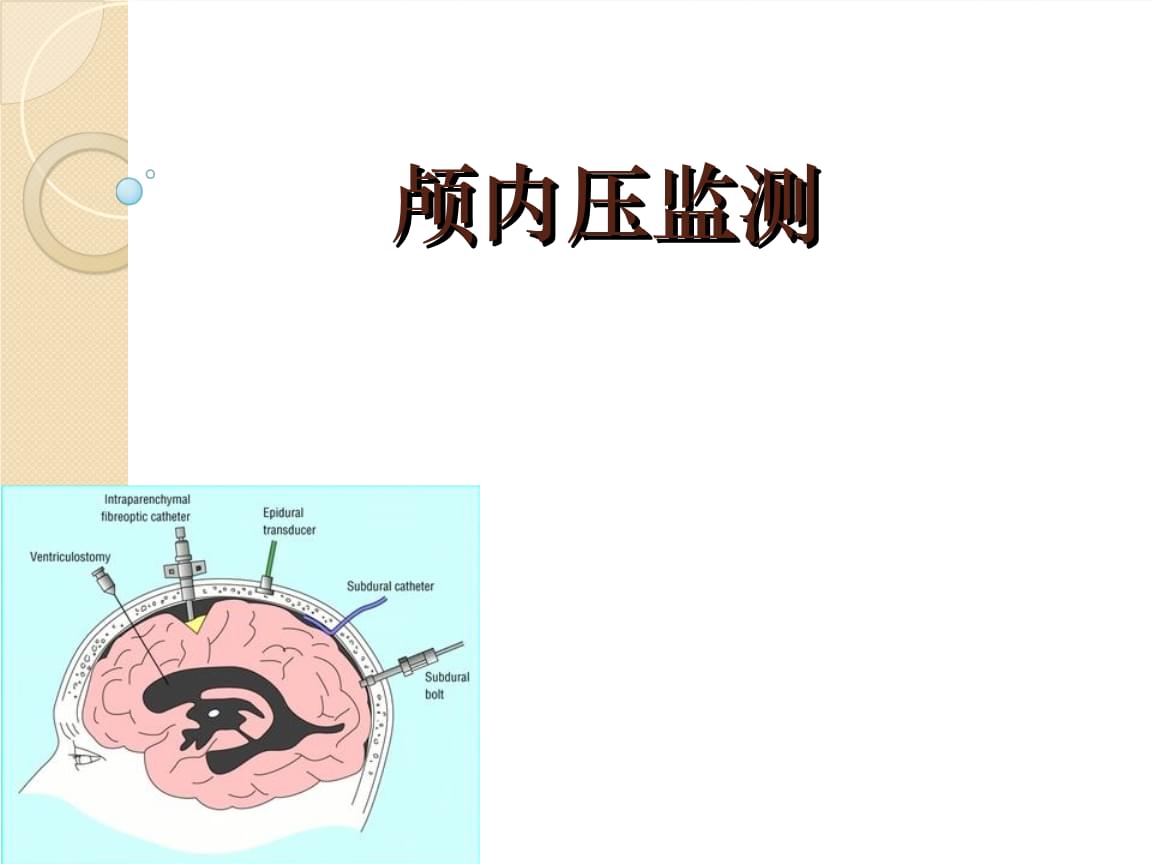 2026世界智能产业博览会一线观察(图1)