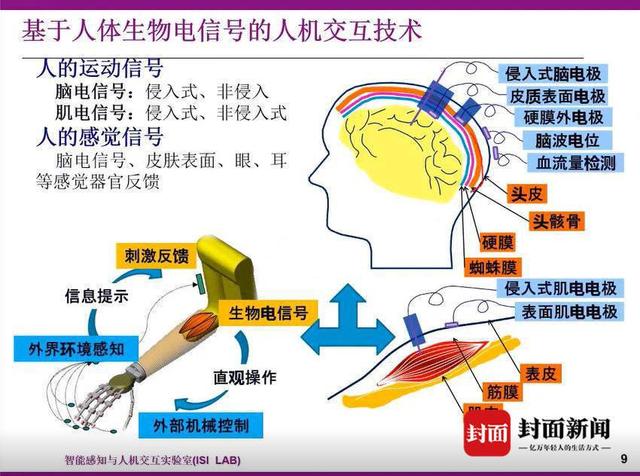 全球首个人工智能+脑机接口标准发布(图1)